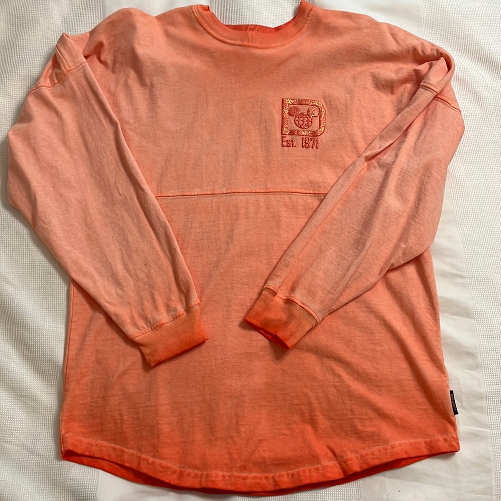 Walt Disney World Spirit Jersey